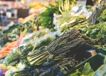 Один из самых полезных продуктов в медицине для здоровья человека 