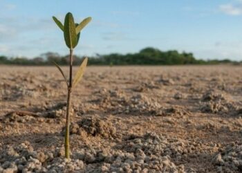 Новая консервация земель была утверждена Кабинетом Министров Украины  