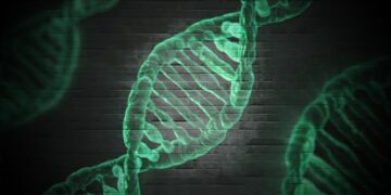 Благодаря инновационному методу израильских ученых можно обнаружить   генетические нарушения у эмбрионов при помощи анализа крови