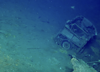 У тихому океані знайшли Ford Super Deluxe на затонулому авіаносці